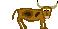 :bull:
