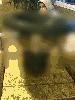 post-20985-1261189713_thumb.jpg