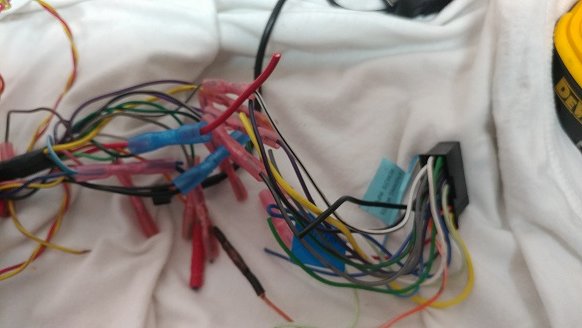 20170918_135431.jpg.fb46115233e4949f8b215f1cca8ab7b8.jpg