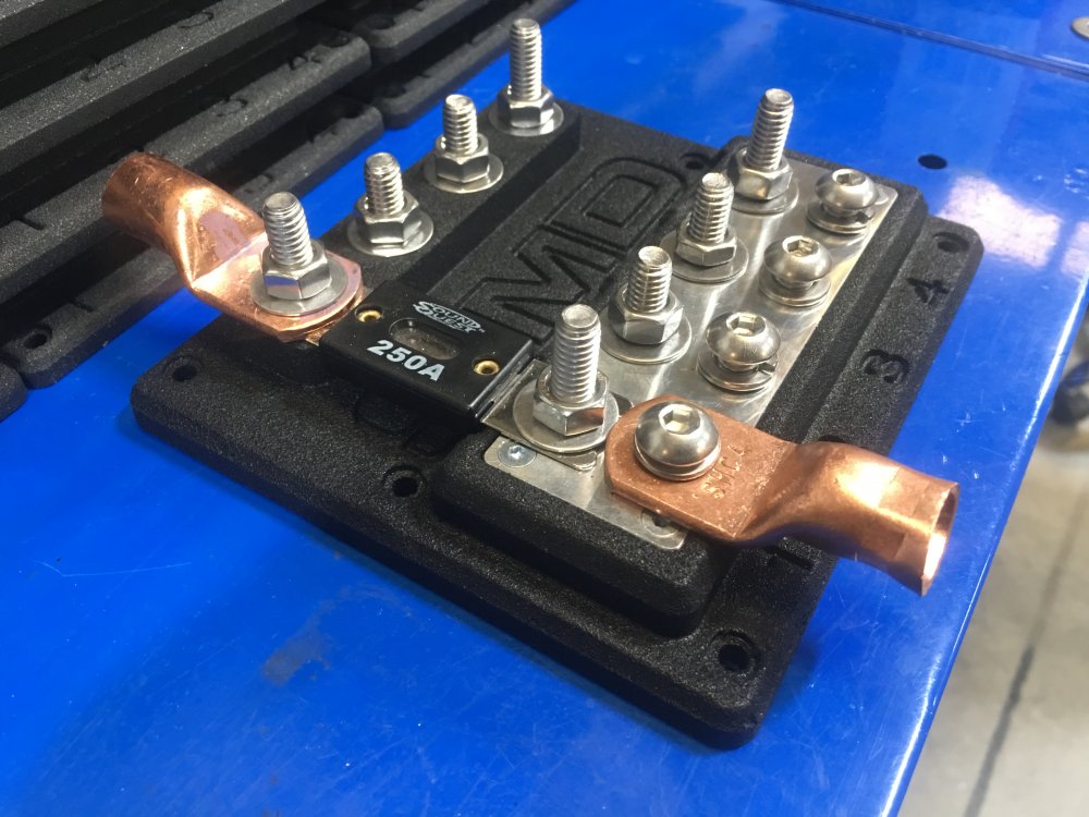 IMG_6703.JPG