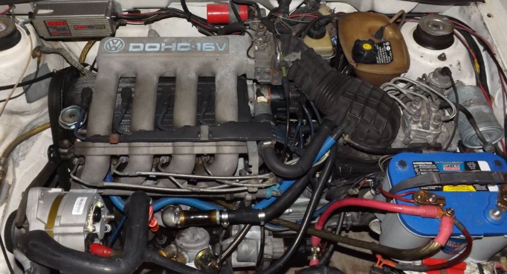 engine bay.JPG