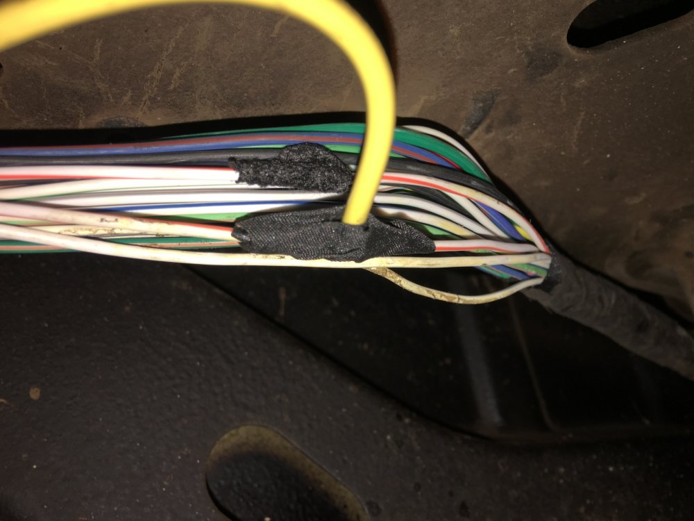 E813078E-D7A9-412F-A544-A7C3C3A923A9.thumb.jpeg.53e501a70efcb859770aac75e6c3ba0b.jpeg