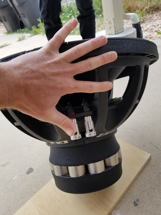 20180527_134420.thumb.jpg.42cc0edaddecfb86c3dc2fcc4551410b.jpg