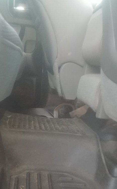 20180918_071727-1.jpg