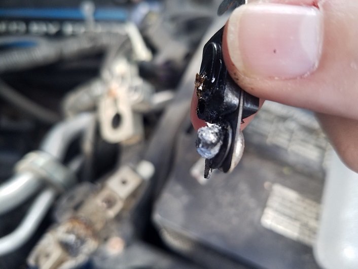 Melted Fuse Holder Question Electricalbattery Alternators Wiring