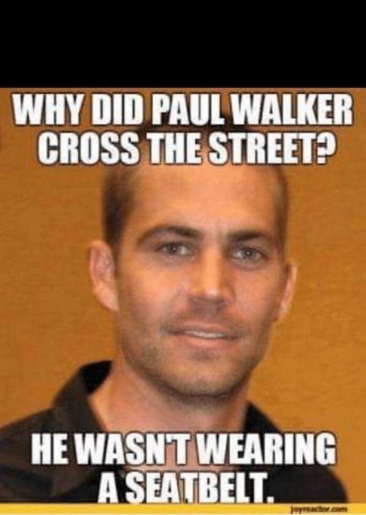 FB_IMG_1536366030022.jpg