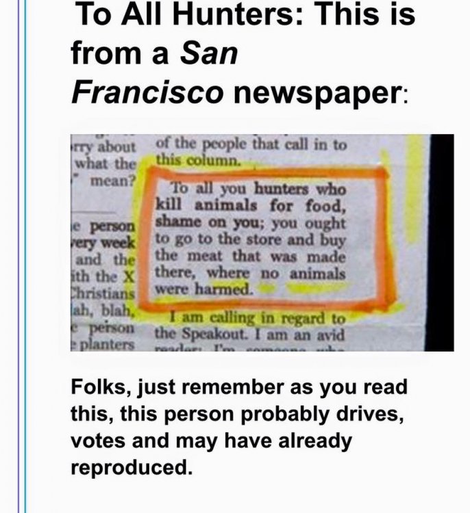 SanFranVoter.jpg