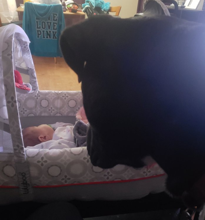 20190111_235333.thumb.jpg.921c3fd09433473935b42869dc7dc8f0.jpg