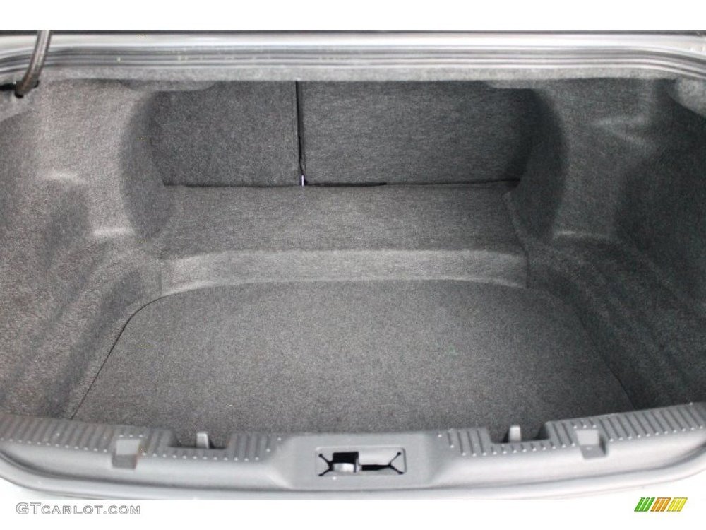 taurus_trunk.jpg