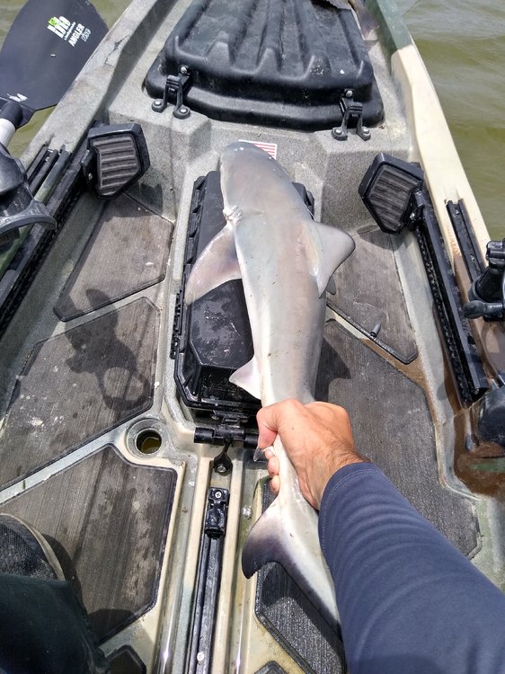 IMG_20200524_140506155_HDR.jpg