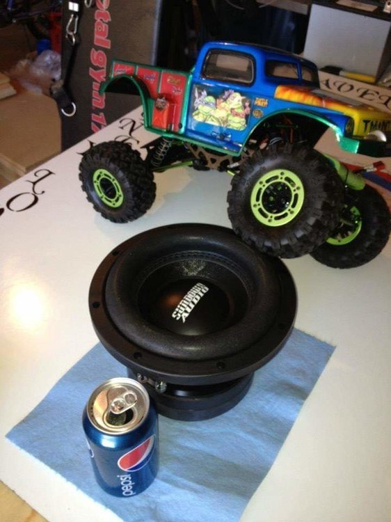 293.jpg
