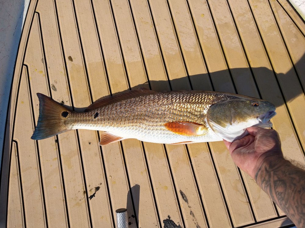 IMG_20201017_104919743_HDR.jpg