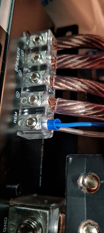 9b9b1e31-aab9-4d10-a891-b1b2ec4c0851.thumb.jpg.8c7a80ef40a4b77d0a7364c81109cf11.jpg