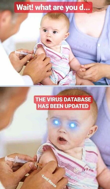 immune.thumb.jpg.b2a2b590a6c88caa01732e78db25fd9b.jpg