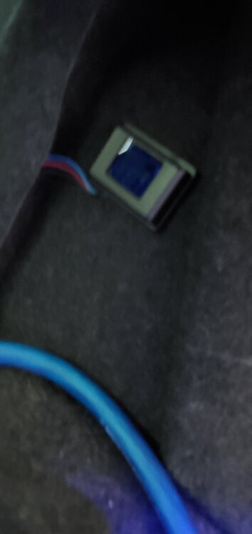 20210831_200458.jpg