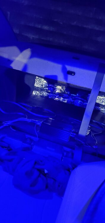 20210831_215647.jpg