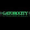 Gatorcity