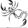 TeamScorpioUK