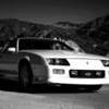 B91Z28