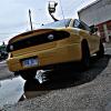 yellowcav