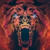 moneil10