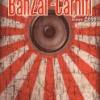 BanZai-Carhifi